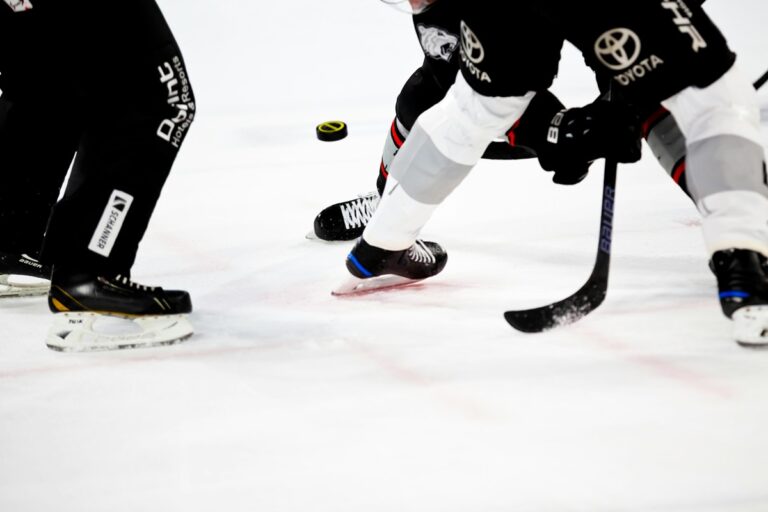 Eishockey Freunde finden