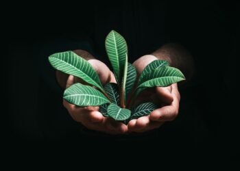 Kreislaufwirtschaft: Wie sich Unternehmen auf die neuen Nachhaltigkeitsanforderungen vorbereiten