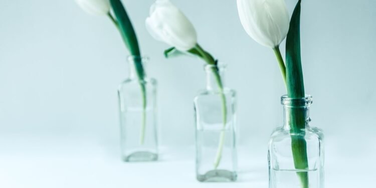 Gin als Gastgeschenk: Worauf es beim Kauf ankommt